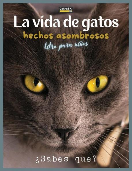 La Vida De Gatos