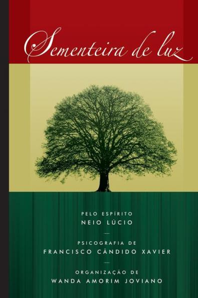 Sementeira de Luz: 6 (Primeiro Livro Da Trilogia de Neio Lúcio)
