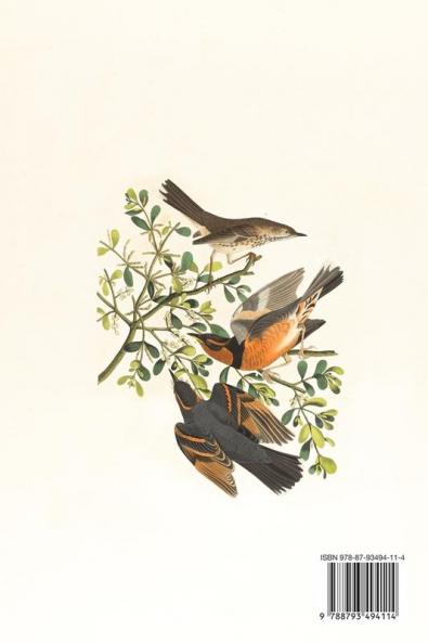 Self-Reliance and Nature