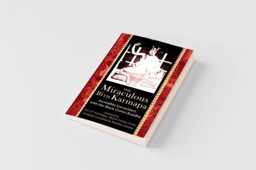 The Miraculous 16th Karmapa