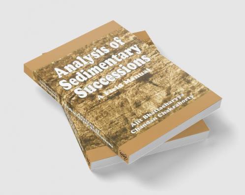 Analysis of Sedimentary Successions