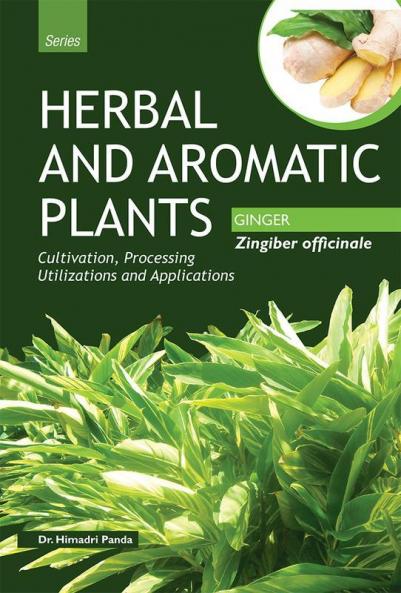 HERBAL AND AROMATIC PLANTS –   Zingiber officinale (GINGER)