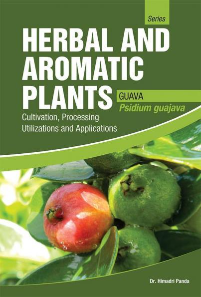 HERBAL AND AROMATIC PLANTS –  Psidium guajava (GUAVA)