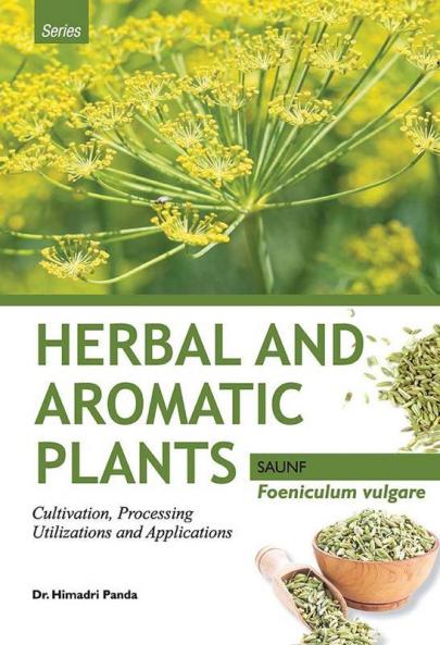 HERBAL AND AROMATIC PLANTS – Foeniculum vulgare (SAUNF)