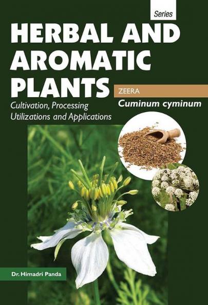 HERBAL AND AROMATIC PLANTS – Cuminum cyminum (ZEERA)