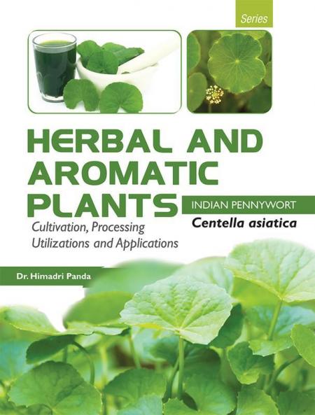 HERBAL AND AROMATIC PLANTS  –  Centella asiatica (INDIAN PENNYWORT)