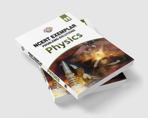 Full Marks NCERT Exemplar Physics Class 11
