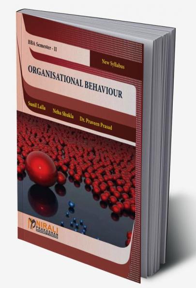 Organisational Behaviour