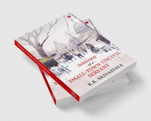 Soliloquy of a Small-town Uncivil Servant