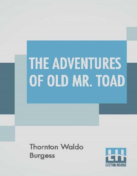 The Adventures Of Old Mr. Toad