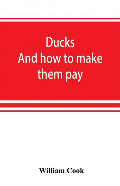 Ducks