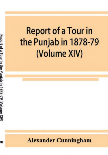 Report of a Tour in the Punjab in 1878-79 (Volume XIV)
