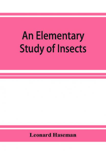 An Elementary Study of Insects