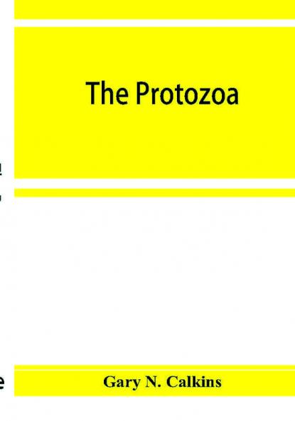 The Protozoa