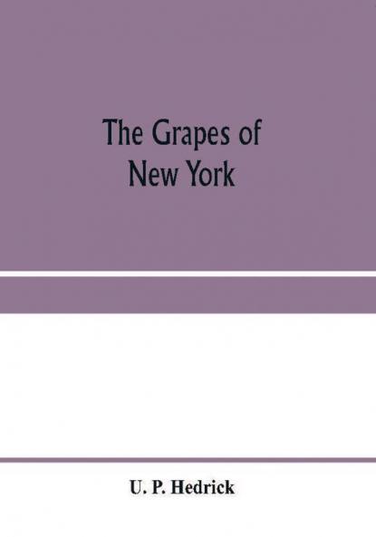 The grapes of New York