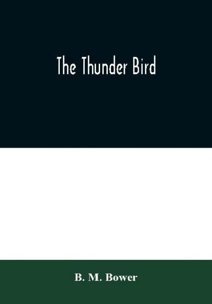 The Thunder Bird