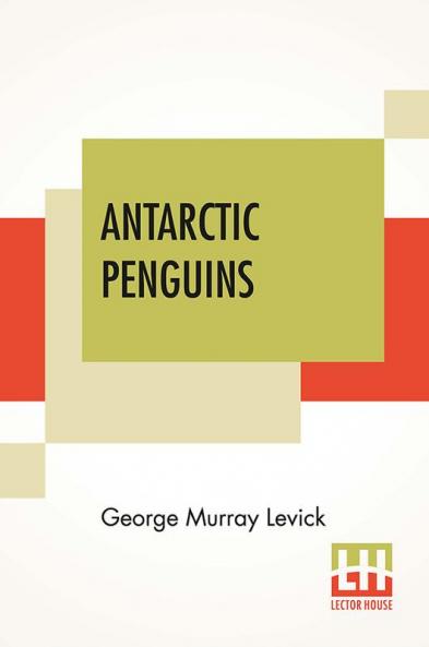 Antarctic Penguins
