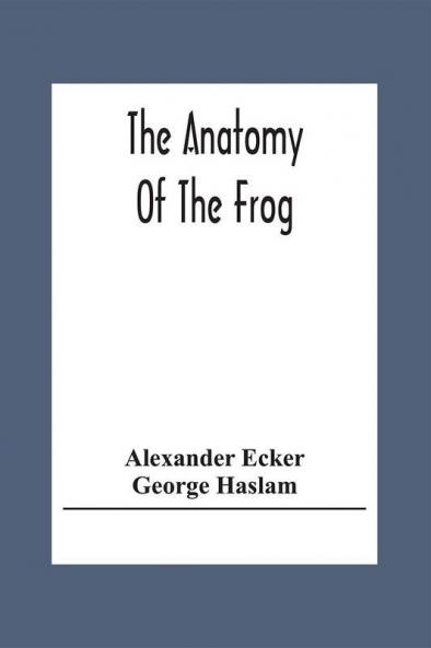 The Anatomy Of The Frog