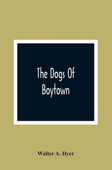 The Dogs Of Boytown
