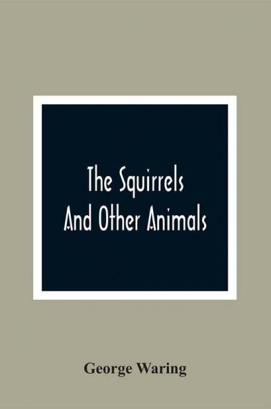 The Squirrels And Other Animals Or Illustrations Of The Habits And Instincts Of Many Of The Smaller British Quadrupeds