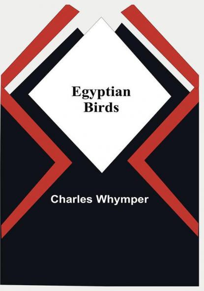 Egyptian Birds