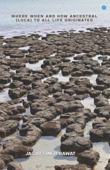 Where When And How Ancestral (Luca) To All Life Originated