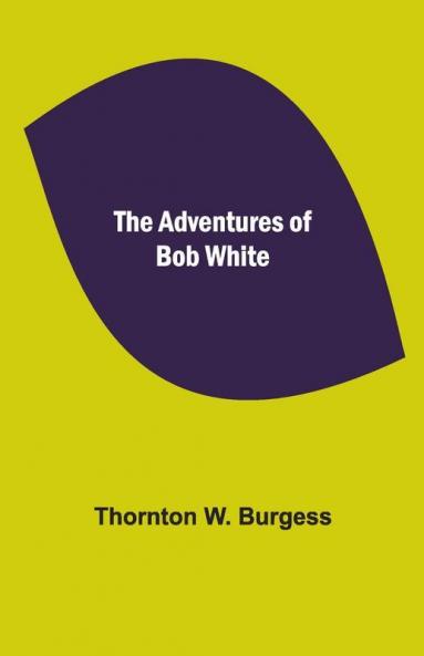 The Adventures Of Bob White