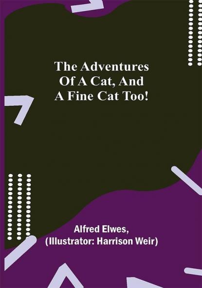 The Adventures of a Cat and a Fine Cat Too!