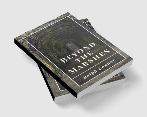 Beyond the Marshes