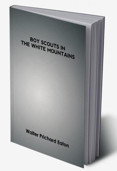 Boy Scouts In The White Mountains: The Story Of A Long Hike