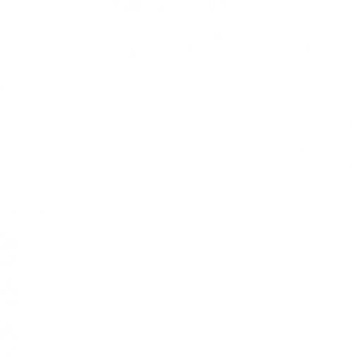 Around The World in 80 Days and The Jungle Book