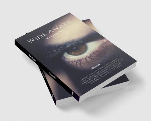 Wide Awake Volumke VI