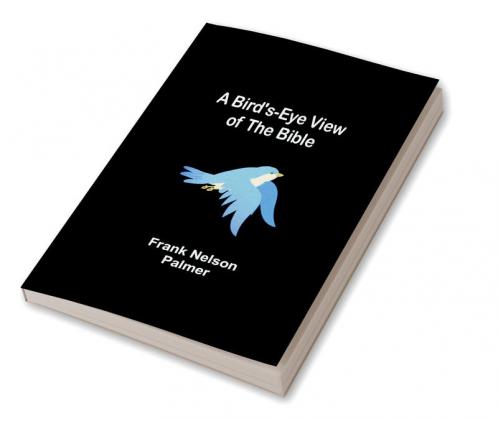A Bird's-Eye View of the Bible