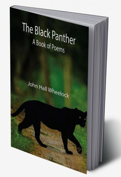 The Black Panther: A book of poems