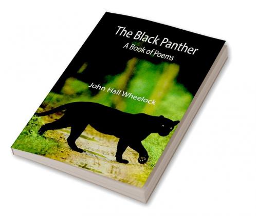 The Black Panther: A book of poems