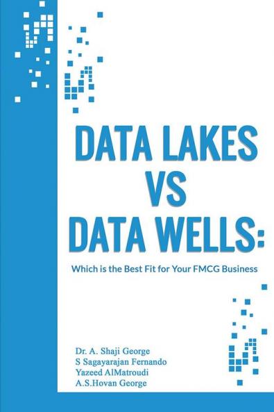 Data Lakes vs Data Wells: Which is the Best Fit for Your FMCG Business