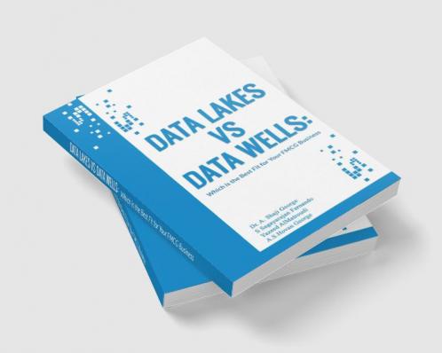 Data Lakes vs Data Wells: Which is the Best Fit for Your FMCG Business