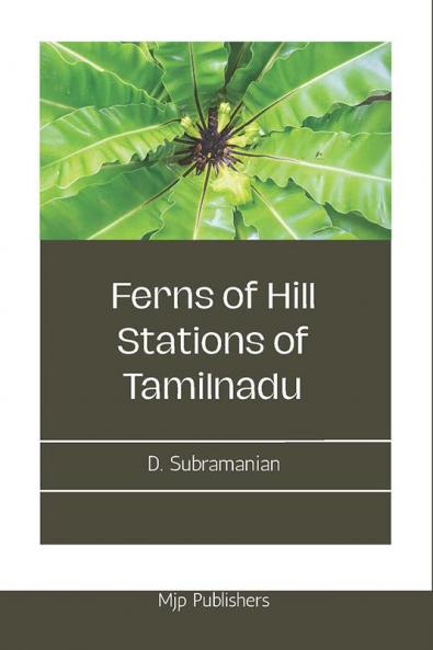 FERNS OF HILL STATIONS OF TAMILNADU