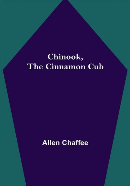 Chinook the Cinnamon Cub
