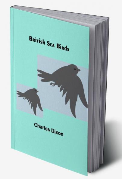 British Sea Birds