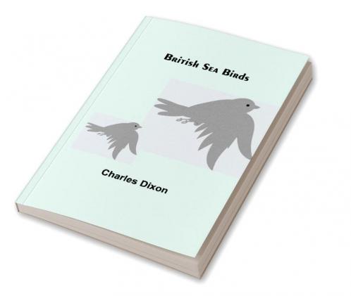 British Sea Birds