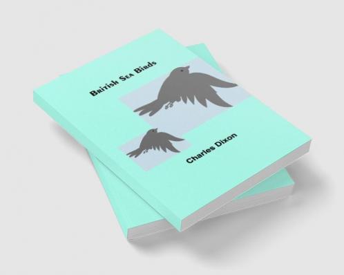 British Sea Birds