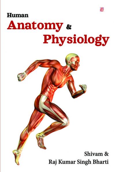 Human Anatomy And Physiology