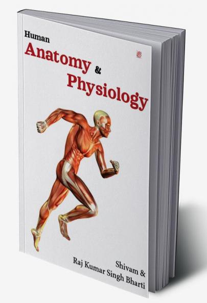 Human Anatomy And Physiology