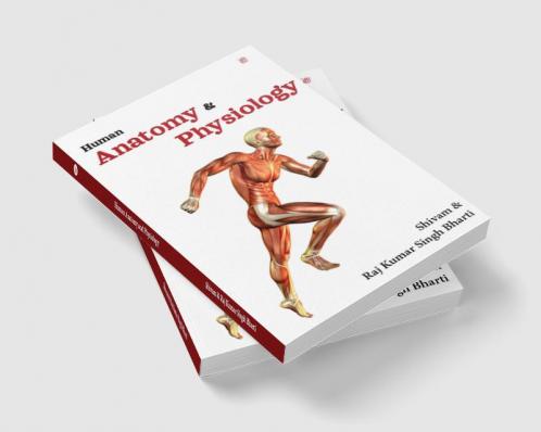 Human Anatomy And Physiology