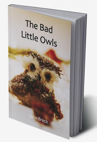 The Bad Little Owls