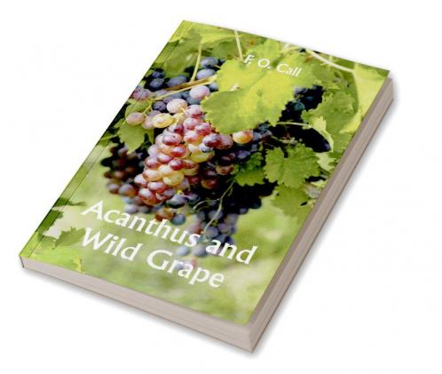 Acanthus and Wild Grape
