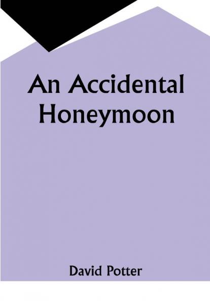 An Accidental Honeymoon