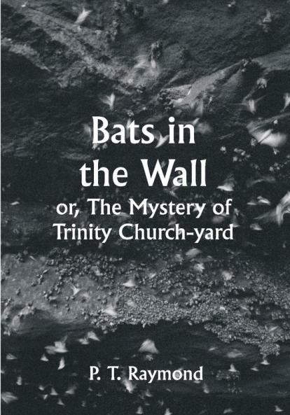 Bats in the Wall; or The Mystery of Trinity Church-yard