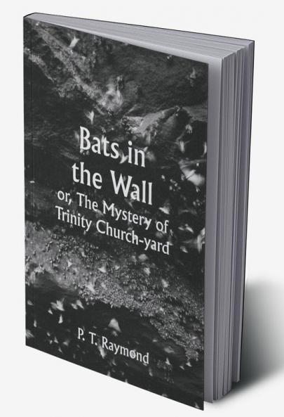 Bats in the Wall; or The Mystery of Trinity Church-yard